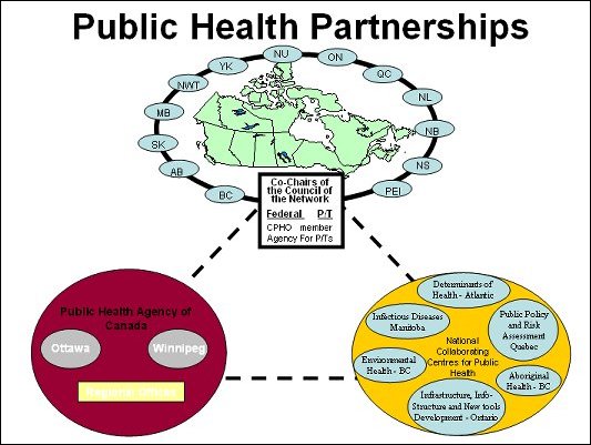 Public Health Partnerships